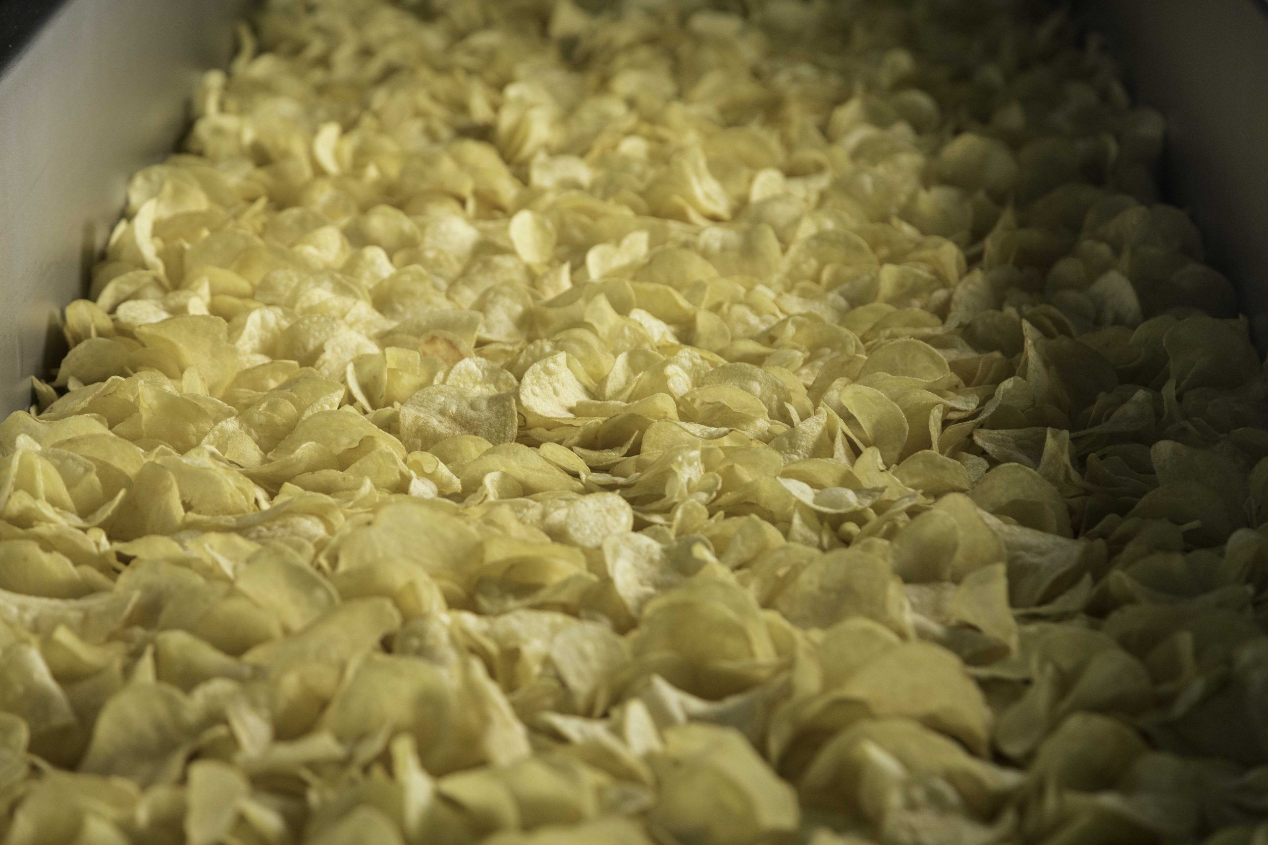 תפוציפס במפעל