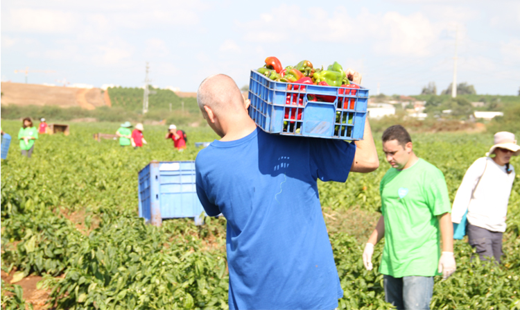 יום אחריות חברתית 2014