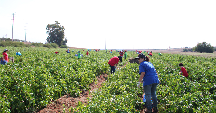 יום אחריות תאגידית 2014