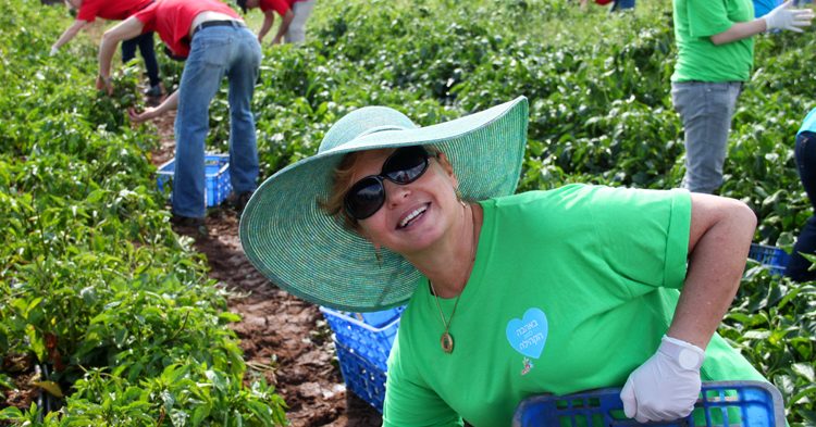 יום אחריות חברתית 2014