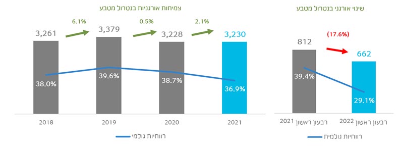 רווח גולמי ורווחיות גולמית 