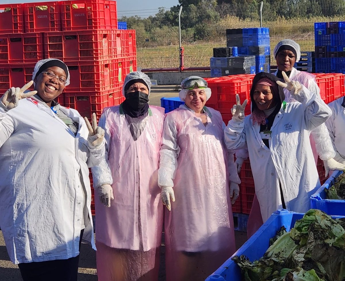 עובדות מפעל ברור חיל