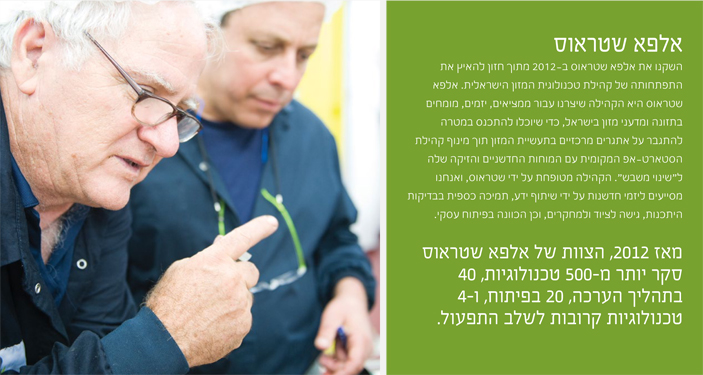 אלפא שטראוס