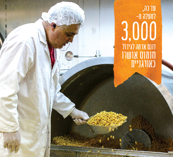 איש מוציא גרגרי חומוס