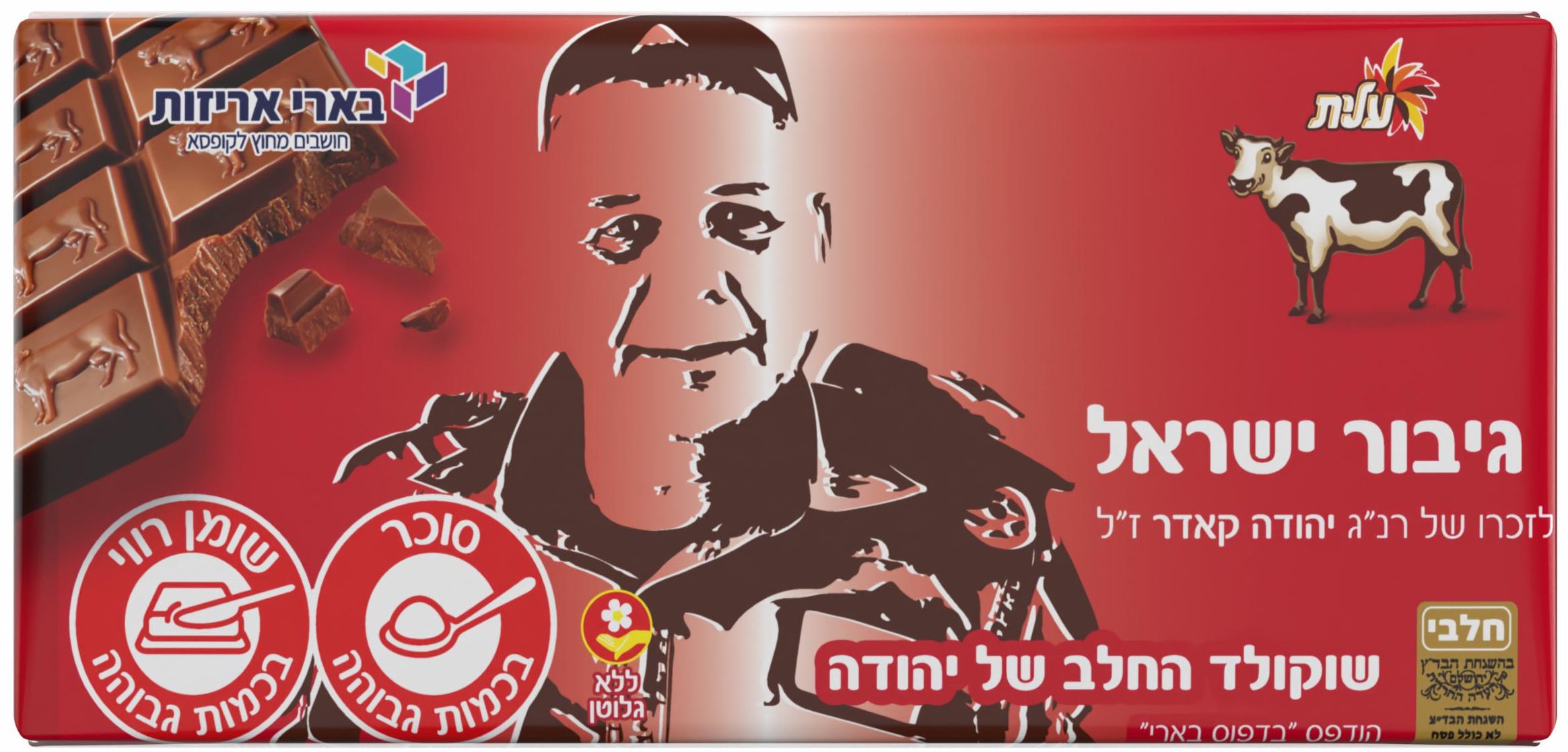 לזכרו של יהודה 